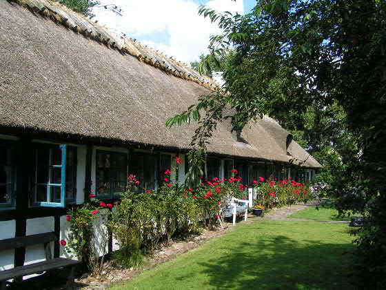 kolding sex gamle dreng kolding sex gamle dreng